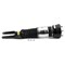 Arnott AIR SUSPENSION STRUT AS-3377 - alternate 2